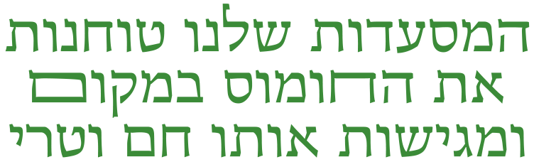 המסעדות שלנו טוחנות את החומוס במקום ומגישות אותו חם וטרי